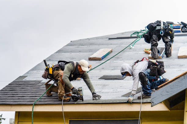 Professional Roofing technician working in Newport, MI